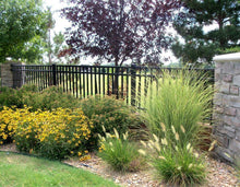 4' x 6' Aluminum Ornamental Flat Top Series A 3-Rail - Standard Picket